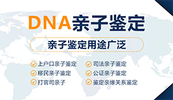 忻州DNA鉴定中心在哪里，忻州血缘检测收费明细