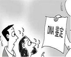 在忻州哪有亲子鉴定检测服务机构，忻州亲子鉴定收费标准是多少